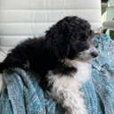 Linda Hostler - @hostler_li61766 - Twitter