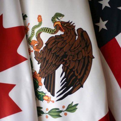 Assisting U.S., Canadian and Mexican citizens benefit from the TN Visa under the USMCA or CUSMA allowing them to be employed across North America.