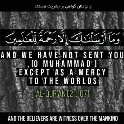 Nabilesall's profile picture. Al-hamdoul'لله ❤️ | #Audrey | Muhammad saw❤️ | 81.33%