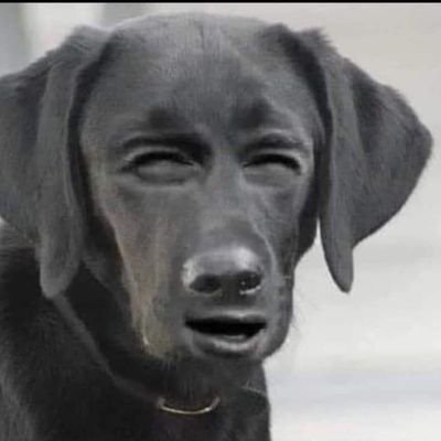 7Waszku's profile picture. 