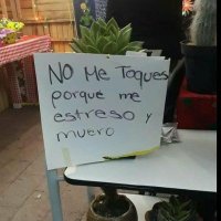 misstufi (@poilofaccio) 's Twitter Profile Photo misstufi (@poilofaccio) 's Twitter Profile Photo