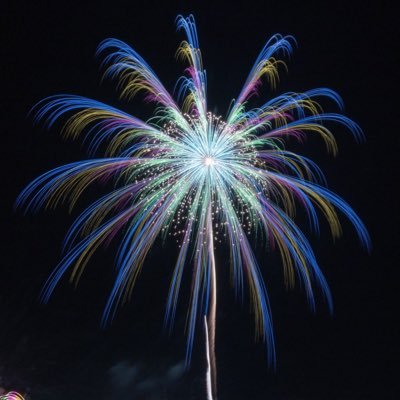 Buchio_hanabi Profile Picture