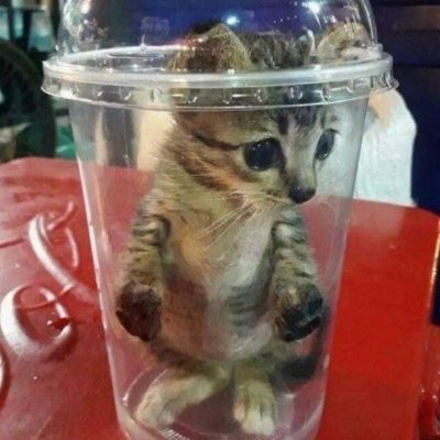 Crabbbyy_'s profile picture. Gaming 2.0
https://t.co/ovhcFWW8h1