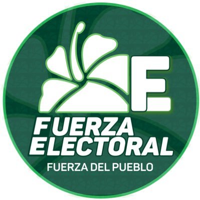 Cuenta Oficial de la Secretaría de Asuntos Electorales FP.