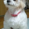 miru135's profile picture. アイドリング!!!が好きな人間です。
twitterのやり方を、まあまあ覚えてきました。しかし、ヘマをすることもあると思います。それなので、失礼があったらすみません。