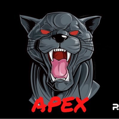 Apex Sports Picks