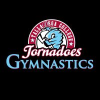 Talladega Gymnastics(@TalladegaGym) 's Twitter Profileg