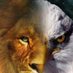 Mo Dabaa🦁🦅☝🏼 (@dabaamo) Twitter profile photo Mo Dabaa🦁🦅☝🏼 (@dabaamo) Twitter profile photo