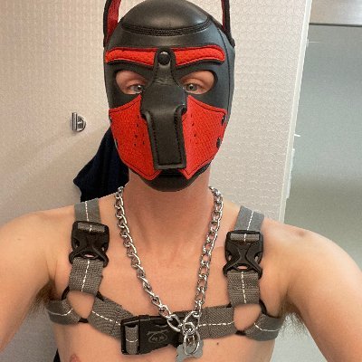 I post gross things here. You've been warned, 18+ NSFW 
boy/pup, un-collared :/ I like bears. 
Mostly just here to make friends, feel free to say hi!