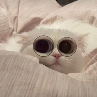 unwntdprsn_'s profile picture. mas mas yg butuh ketenangan..