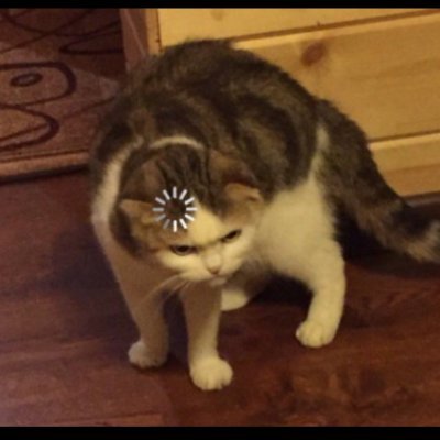 proscore124's profile picture. 