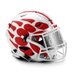 Badger_Recruiting (@Wi_Recruiting) Twitter profile photo