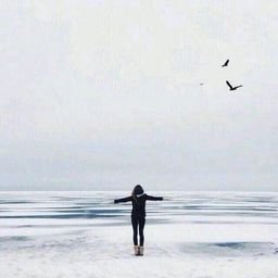 Tandays246115's profile picture. 