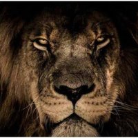 clebinho (@clebinho3927) 's Twitter Profile