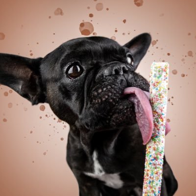 LemmyBulldog Profile Picture