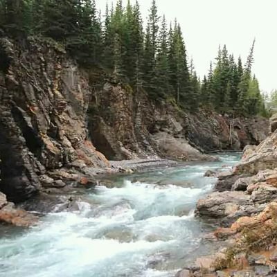 duke_valhalla's profile picture. water champion