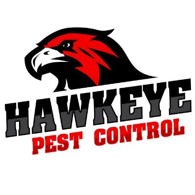 Our pest control services cover even the most annoying pests, including rodents, bees, fleas, ants, mosquitoes, and cockroaches etc