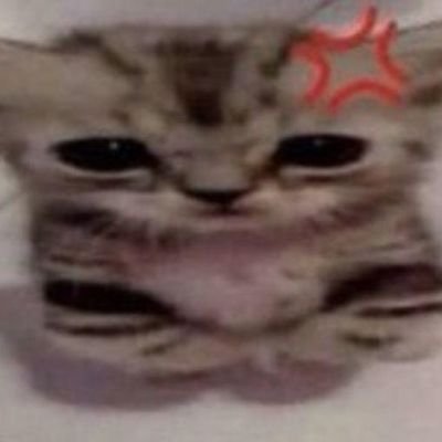 DJOhlX's profile picture. Cats

Mixed
🇰🇲🇩🇰