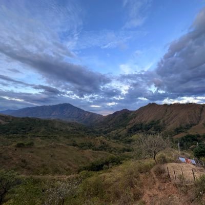 Abogada y otras cosas