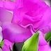 RAli (@ramzaali11) Twitter profile photo RAli (@ramzaali11) Twitter profile photo