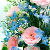 繭 (@jgiwmayu16) 's Twitter Profile Photo