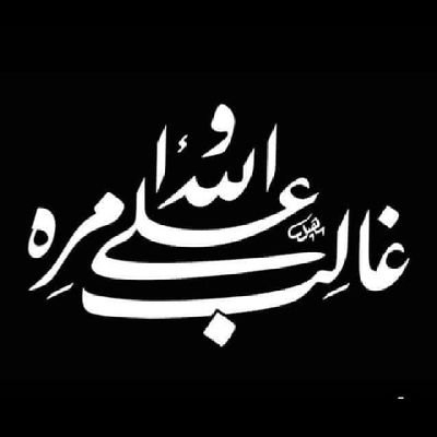 Mohsen_AlDajani's profile picture. 