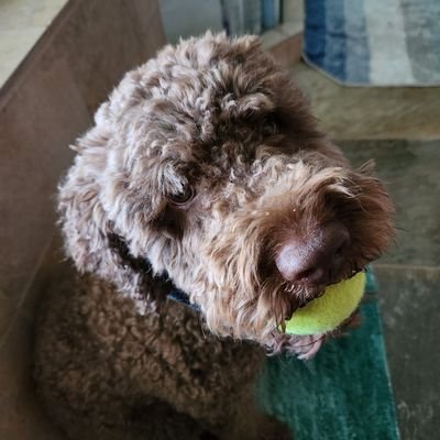 Chief Commercial Officer @CuraiHQ. Fmr @Amazon & @Cambia. Wife to @tjustinb, soccer mom to Eli & Sawyer, traveler, coffee addict. Tweets are mine all mine.