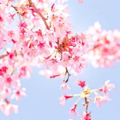 ていくさんのプロフィール画像