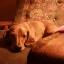 Tom Woody - @TomWoody2 - Twitter