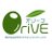 OriVE360