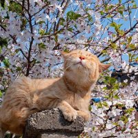 vike (@mwf) 's Twitter Profile