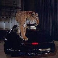 Animals Automobiles & Nostalgia(@KittAndFriends) 's Twitter Profile Photo