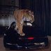 Animals Automobiles & Nostalgia (@kittandfriends) Twitter profile photo Animals Automobiles & Nostalgia (@kittandfriends) Twitter profile photo