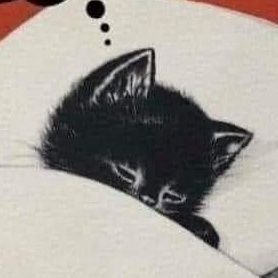 ComradeGoober's profile picture. ironic trotskyist