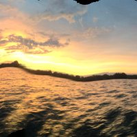 MichiganMan (@brian31965433) 's Twitter Profile