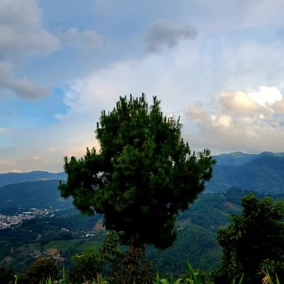 GersonMorales17's profile picture. Ingeniero Agrónomo, Economía y Finanzas MA. pequeño productor de café y pasión por el desarrollo de los más necesitados.