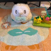兎月 (@totsuki_poke) 's Twitter Profile