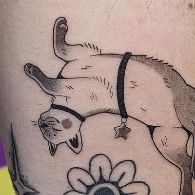 Zaccy41545926's profile picture. Faifai Lemu