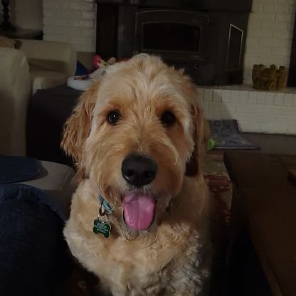 M_McClellan's profile picture. Avid Falcons, Auburn, Grizzlies fan.
 Play-by-play Christian Brothers University men's and women's basketball, volleyball.