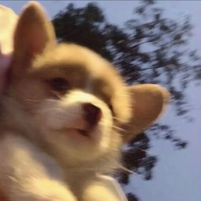 MING129424's profile picture. w