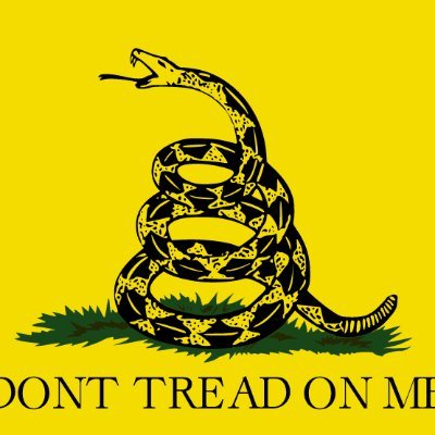 RealNAlbertson's profile picture. #MAGA #BringBackSmithMundt #NoAmnesty #YuriBezmenov #WeSeeYou #ΜΟΛΩΝΛΑΒΕ Chemist (undergrad ChE). Pronouns: U/S/A  🇺🇸