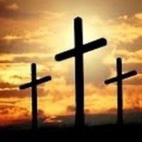Moses1243 (@moses1243244901) 's Twitter Profile