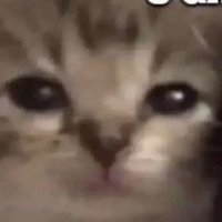 C.L. (@randombulshitgo) 's Twitter Profile