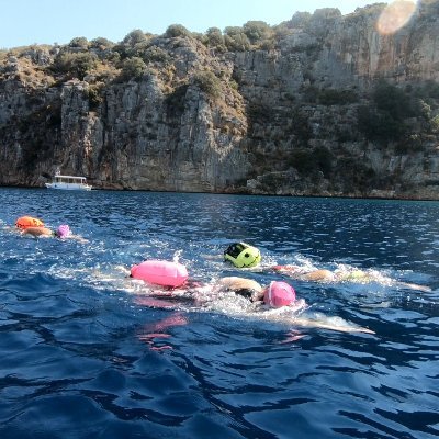 TurkiyeTI's profile picture. Total Immersion İle Yüzenlerin Türkiye'deki Buluşma Noktası!