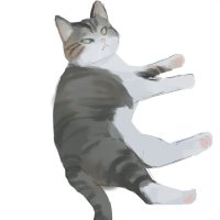 すの (@suuu_no) 's Twitter Profile Photo