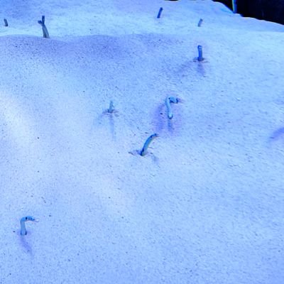 coz97422819's profile picture. イース6オンライン まったり勢
ドラネス2S2でやってます