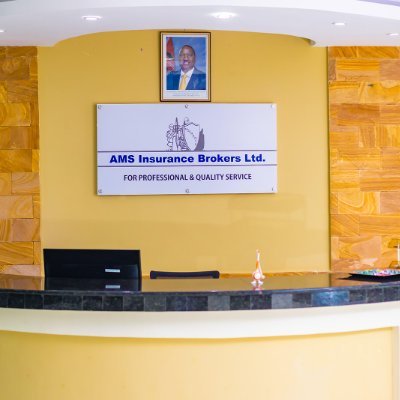 AMS INSURANCE BROKERS LTD