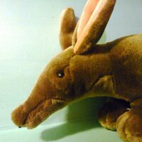 Stealth Aardvark(@StealthAardvark) 's Twitter Profile Photo