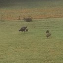 Mike Elrod - @MichaelAElrod - Twitter