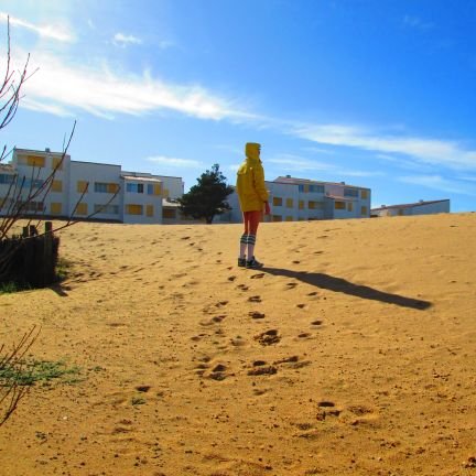 guyronic1's profile picture. 